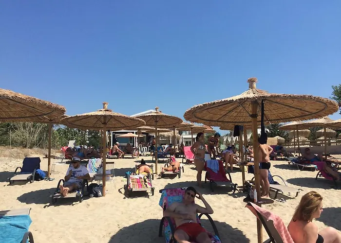 Crystal Blue ポトス