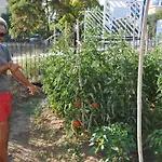 Crystal Blue 아파트