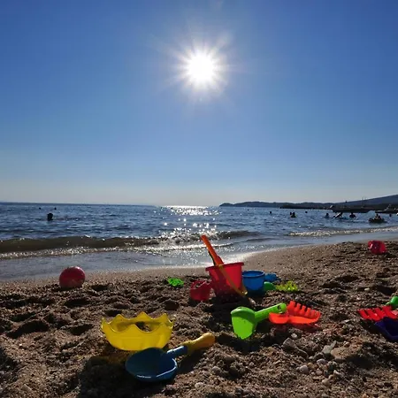 Crystal Blue * Potos